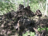 nti Sartorius-20100606 028
